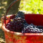 riccardo-bernucci-cdtNAWFg2Wc-unsplash