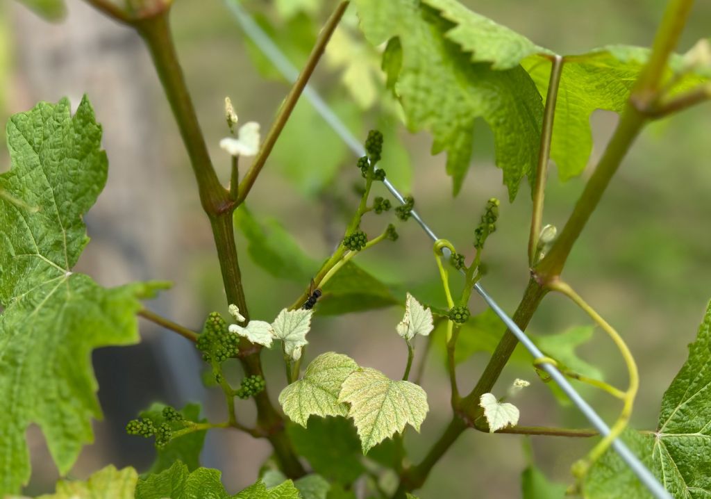 “Opportunity for reflection”: T-shirt messaging misstep prompts industry response