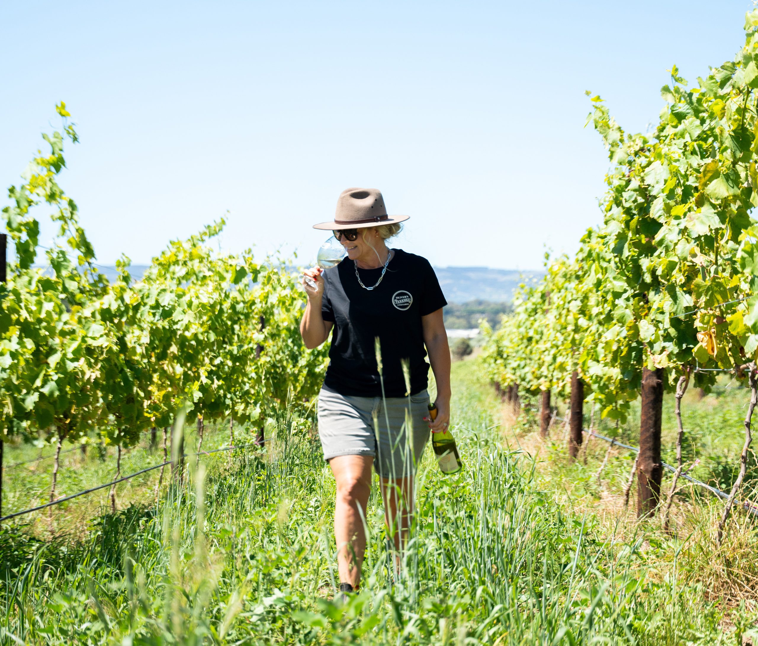 SummerVines festival set to show off McLaren Vale wines during Tour Down Under